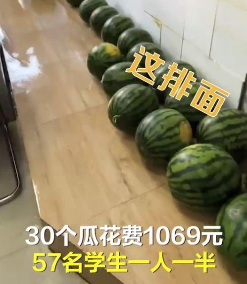 潮安教师吃瓜,揭秘校园背后的“瓜田”风云 第3张 潮安教师吃瓜,揭秘校园背后的“瓜田”风云 第3张